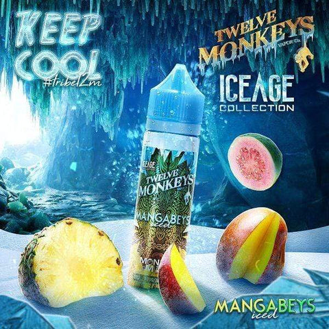 Twelve Monkeys - Mangabeys ICED